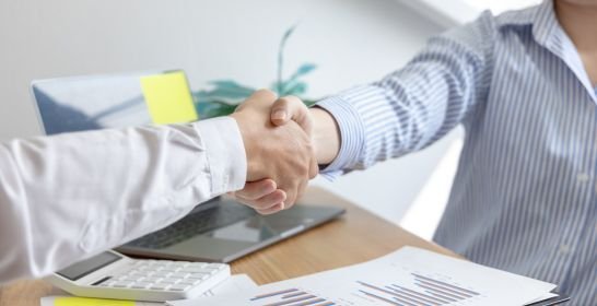 Software Consultancy